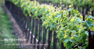 Acquiesce Winery & Vineyard