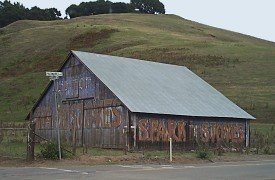 Chouinard Vineyards