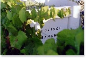 Bokisch Vineyards